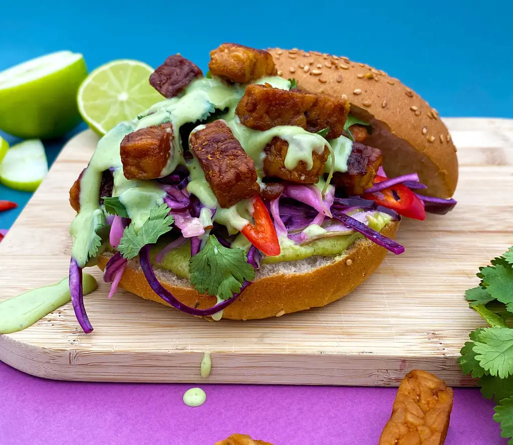 BBQ Tempeh Burger with a minty slaw Better Nature Tempeh